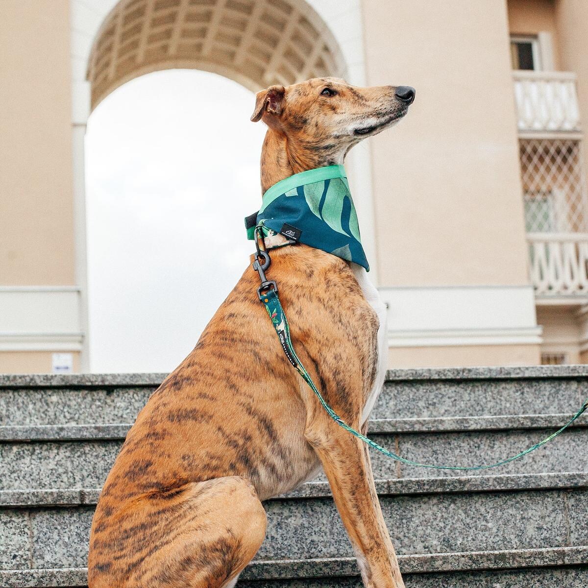 Bandanka "Psikolaż" - Rozmiar: XS, Rodzaj: Zapinana na szyi