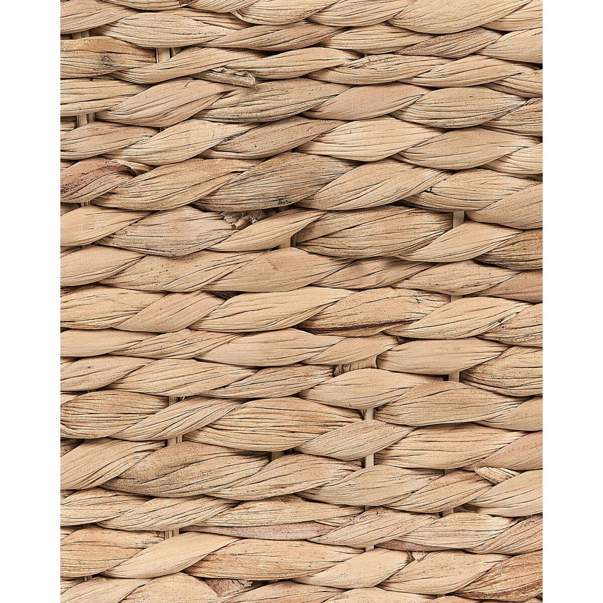 Gazetnik z hiacyntu wodnego jasny VINH