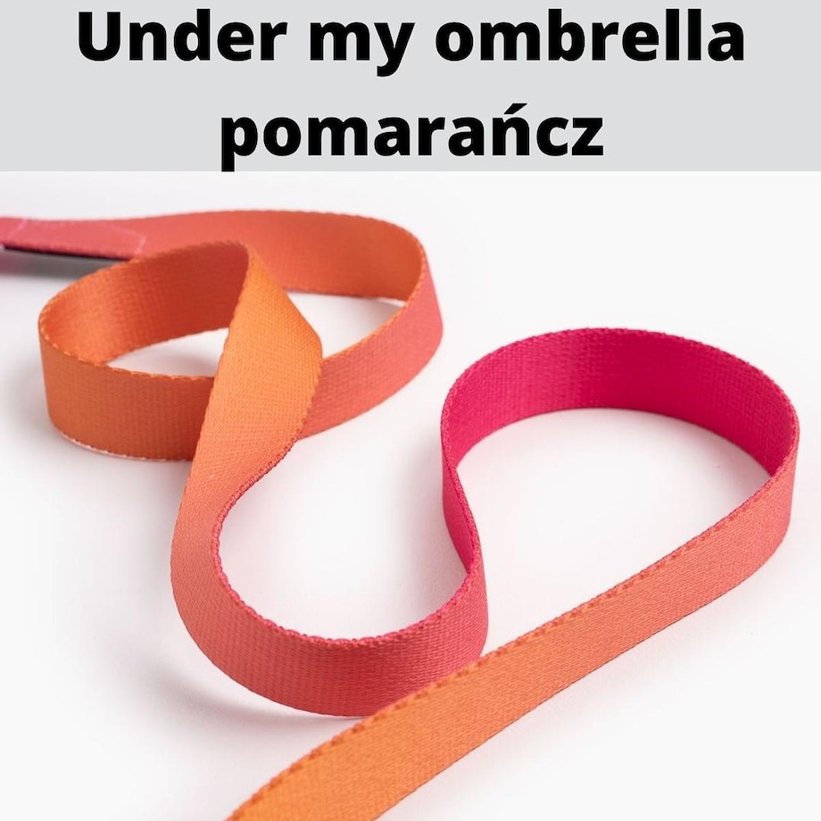 Pas samochodowy dla 2 psów - Szerokość taśmy: 20mm