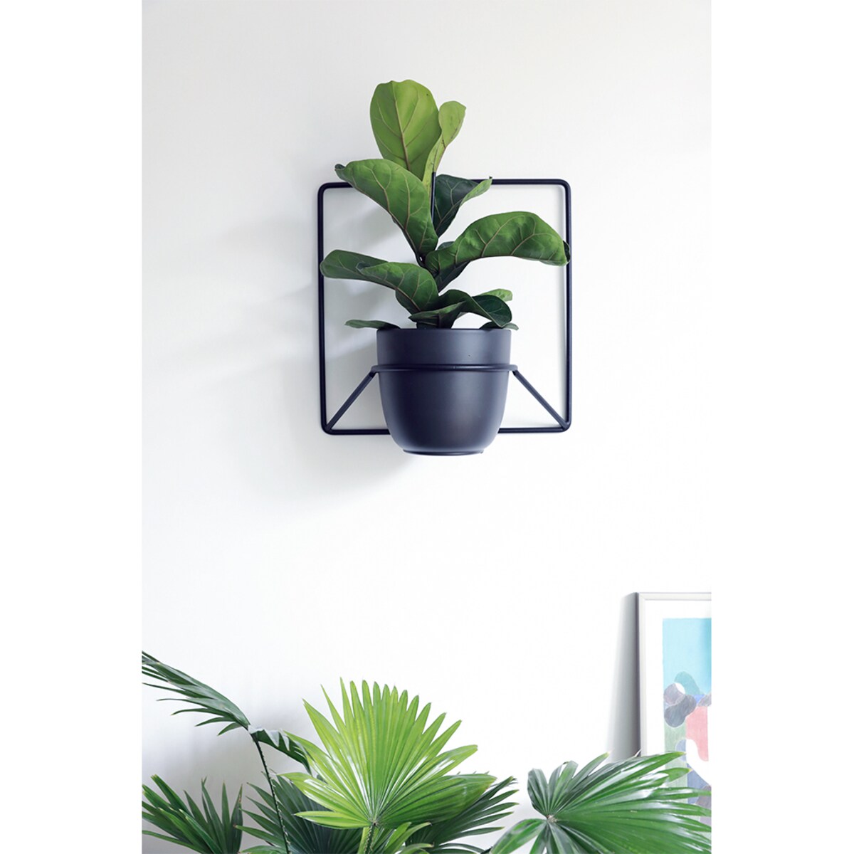 Kwietnik Jeno czarny