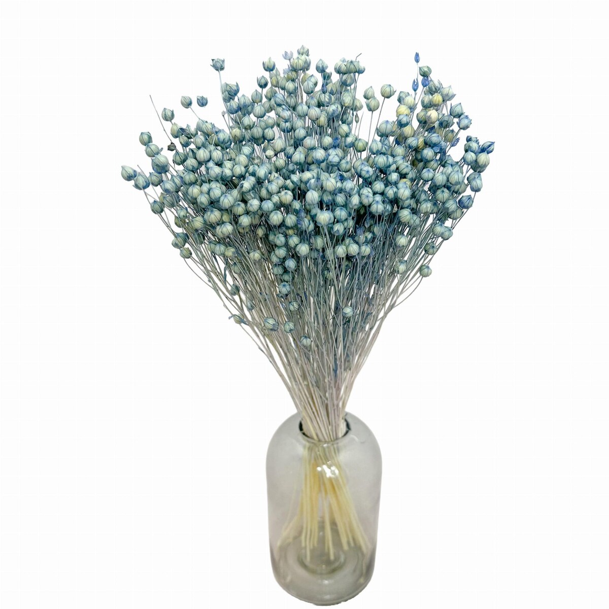 Suszony Len Niebieski (Denim)