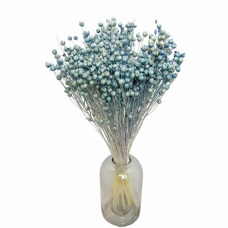 Suszony Len Niebieski (Denim)