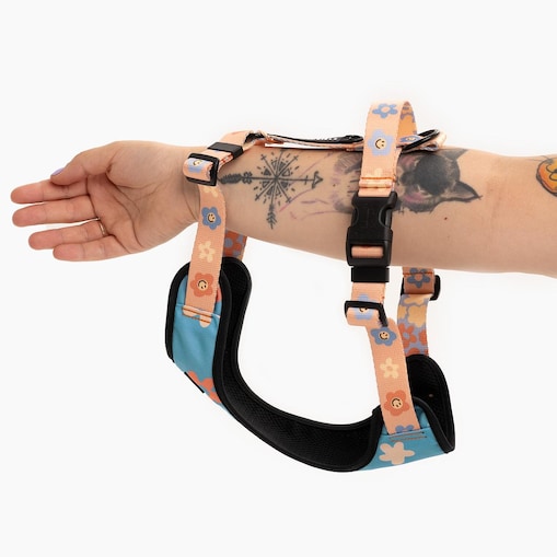 Szelki bezuciskowe dla psa lub kota "Oopsy Daisy" - Szerokość taśmy: 25mm, Rozmiar: XL