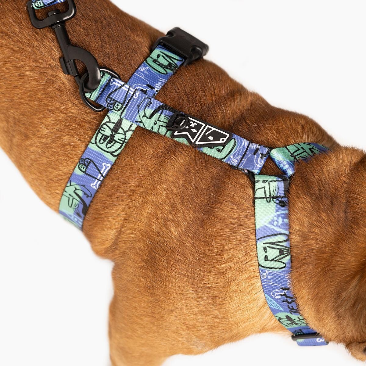 Szelki dla psa lub kota typu guard "Spacer albo psikus" - Szerokość taśmy: 15mm, Rozmiar: XXS