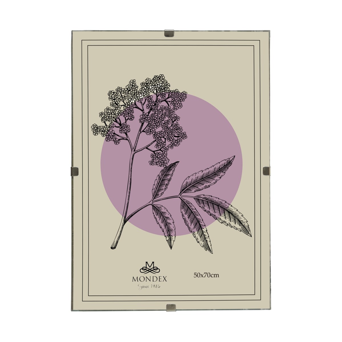 Antyrama ADI 50x70 cm Plexi