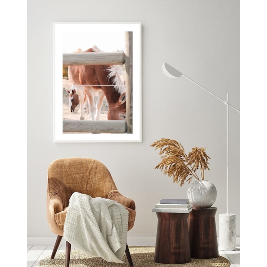 Poster Story, Plakat, Obraz - Konie w Zagrodzie, wymiary 50 x 70 cm