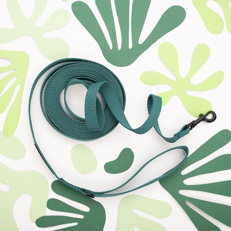 Smycz treningowa Green AF - Rozmiar: L