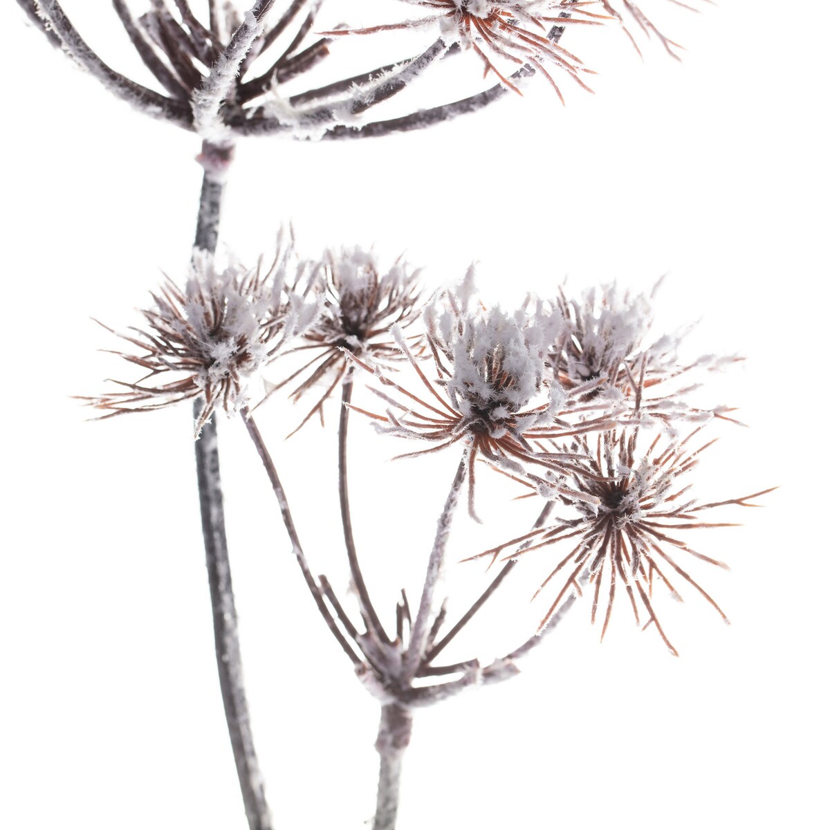 Gałązka Thistle white 100cm boże narodzenie, święta, świąteczne, biały-czarny-brązowy, 100 cm