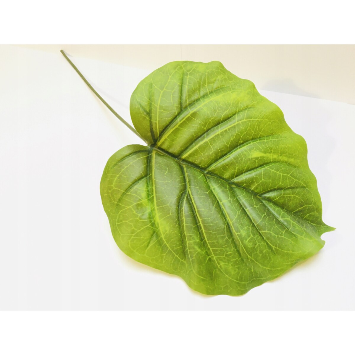 DUŻY LIŚĆ zielony gumowany realistyczny do stroika wiązanki bukiet łodyga