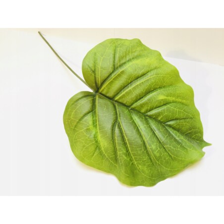 DUŻY LIŚĆ zielony gumowany realistyczny do stroika wiązanki bukiet łodyga