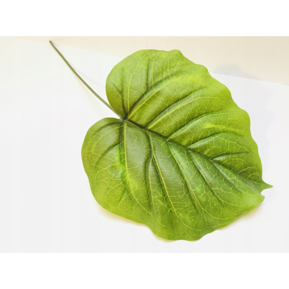 DUŻY LIŚĆ zielony gumowany realistyczny do stroika wiązanki bukiet łodyga