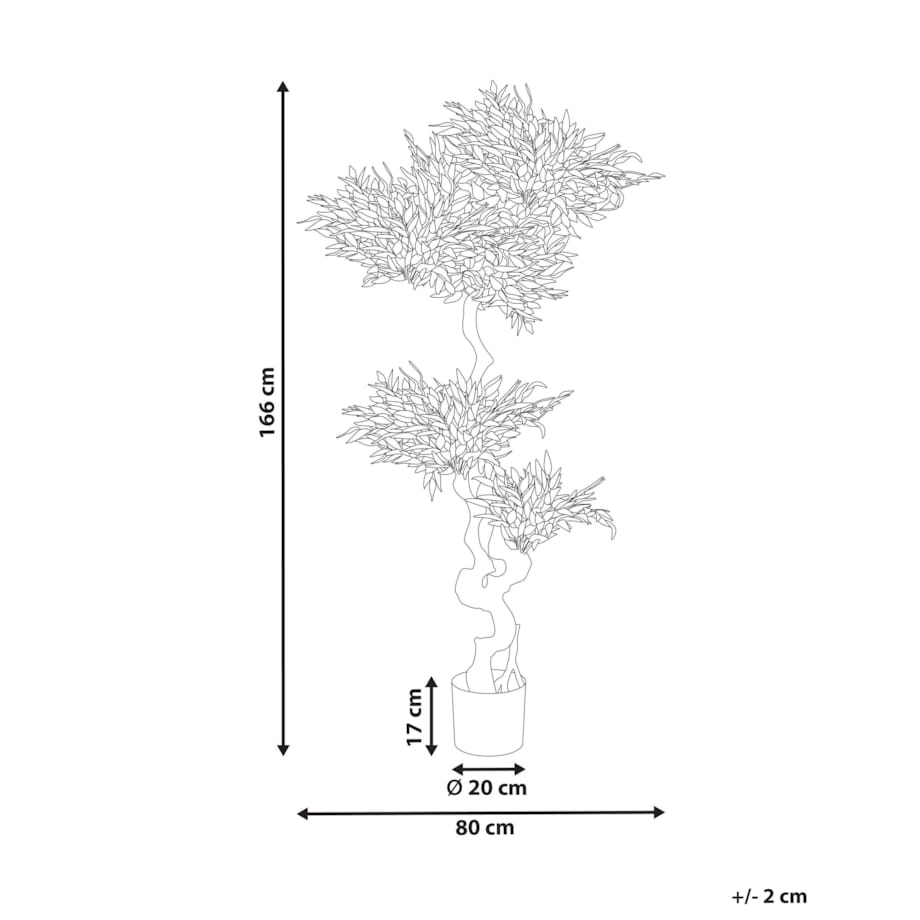 Sztuczna roślina doniczkowa 166 cm RUSCUS TREE