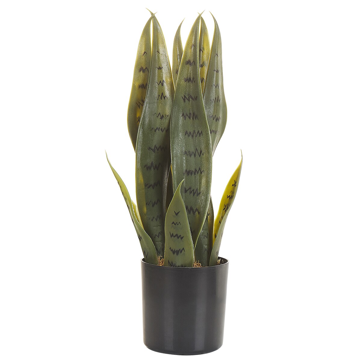 Sztuczna roślina SNAKE PLANT 40 cm Zielony