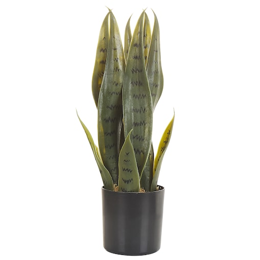 Sztuczna roślina SNAKE PLANT 40 cm Zielony