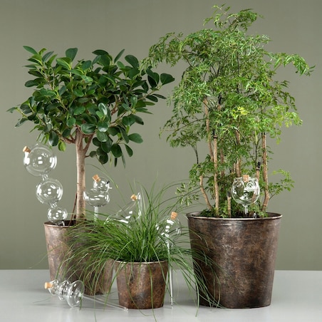 KULA nawadniająca NAWADNIACZ do roślin i kwiatów doniczek PTAK 140ml