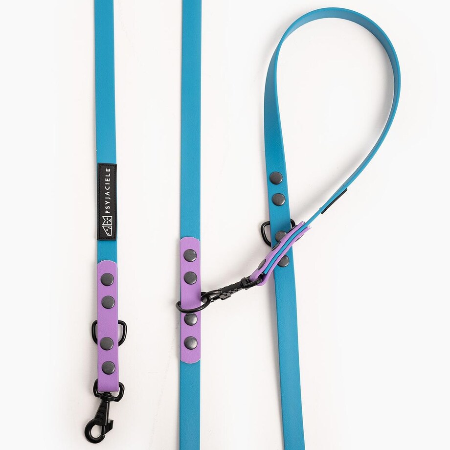 Smycz przepinana Biothane® dla psa lub kota "Turquoise with Lilac" - Rozmiar: M, Szerokość taśmy: 16mm