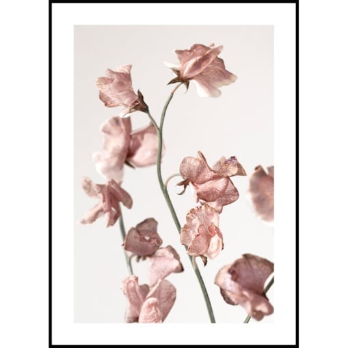 Poster Story, Plakat, Obraz - Różowe Kwiatki, wymiary 70 x 100 cm