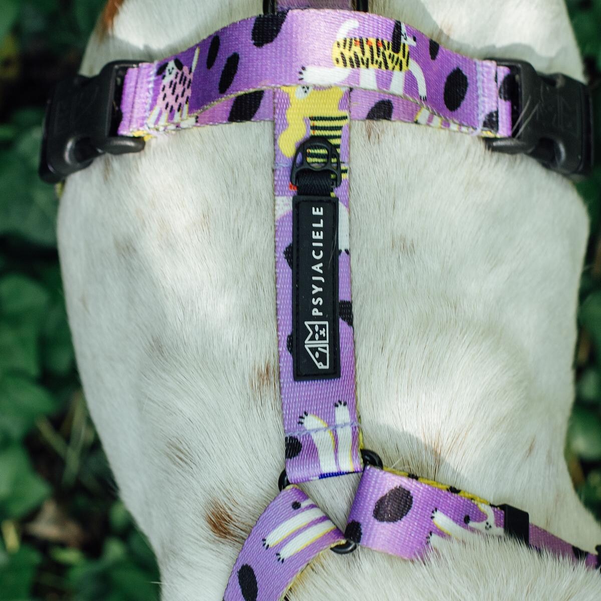 Szelki bezuciskowe dla psa lub kota "Pieski floreski" - Szerokość taśmy: 15mm, Rozmiar: XXS