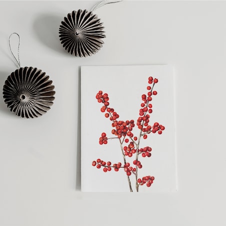 Plakat Ostrokrzew Okółkowy 21x30cm