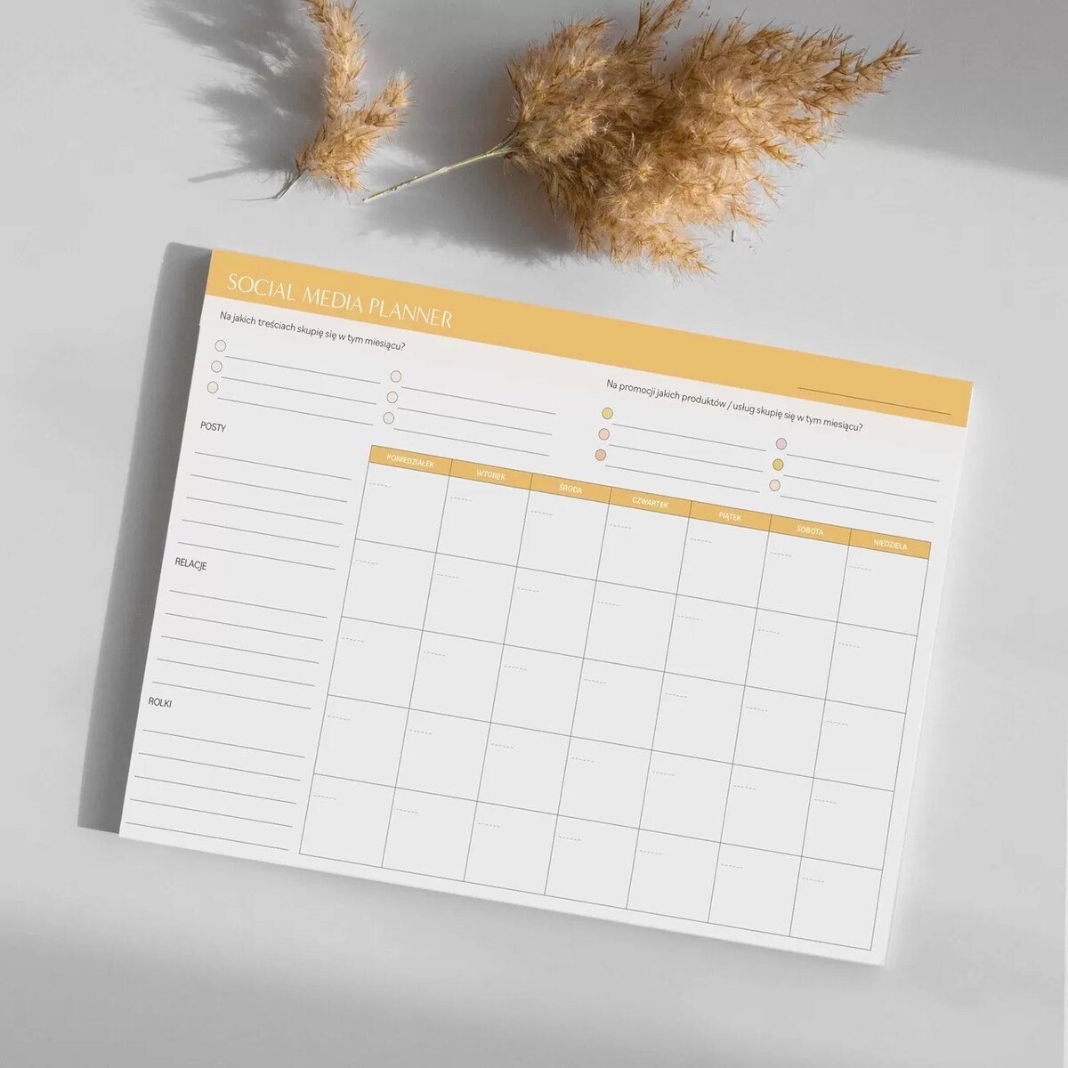 Harmonogram publikacji social media A4!