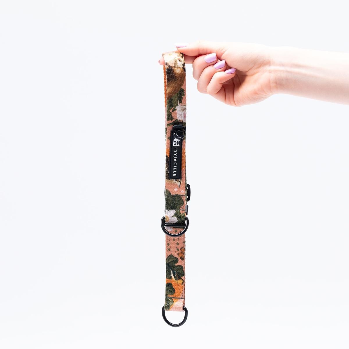 Obroża półzaciskowa dla psa lub kota "Wie wiórka co dobre" - Szerokość taśmy: 38mm, Rozmiar: L