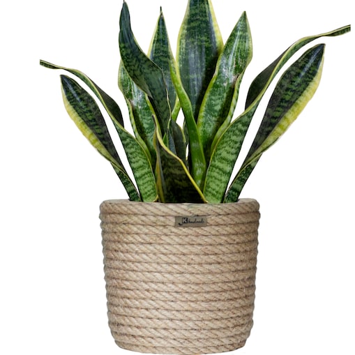 20 BOHO jutowa osłonka na doniczkę * wzór BOHO20/200 * naturalny sznurek z juty * styl naturalny skandynawski etno loft marynistyczny * koszyk na kwiaty z trawy plecionej jutowej