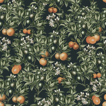 Tapeta Ogród pomarańczowy, 416x254cm