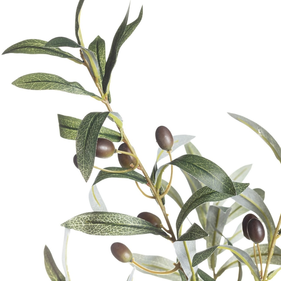 Gałązka oliwna 70cm, 10 x 10 x 70 cm