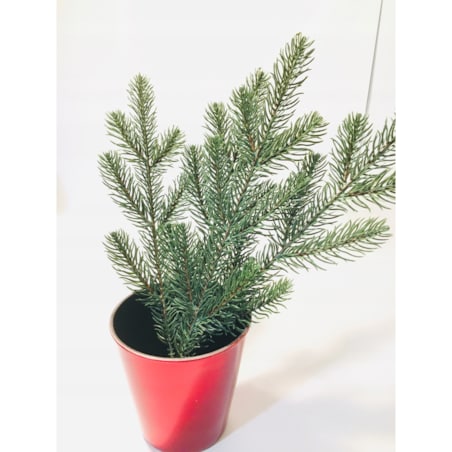 SZTUCZNA GAŁĄZKA jak żywa sosna świerk PIK 6szt na bukiet stroik zielona