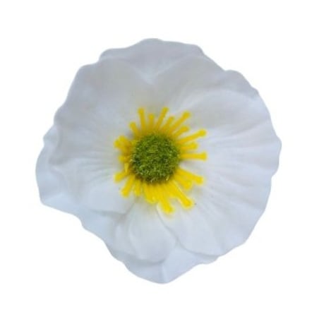 KWIATY MYDLANE biały okrągły główka do stroika bukietu box prezent upominek