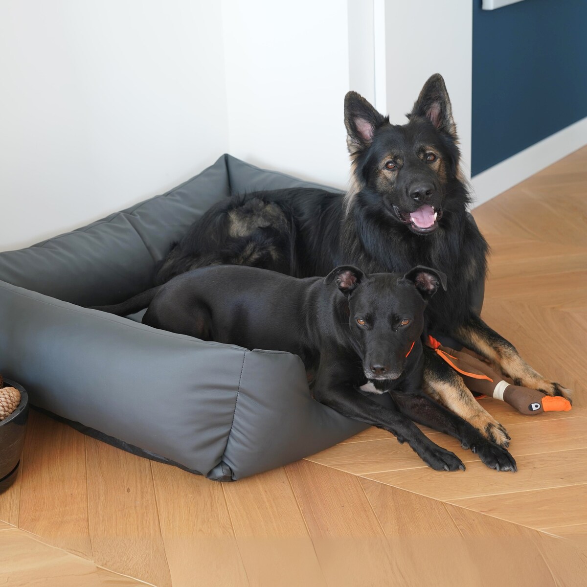 Legowisko dla psa z ekoskóry MARIO, 140x110 cm, Grafit
