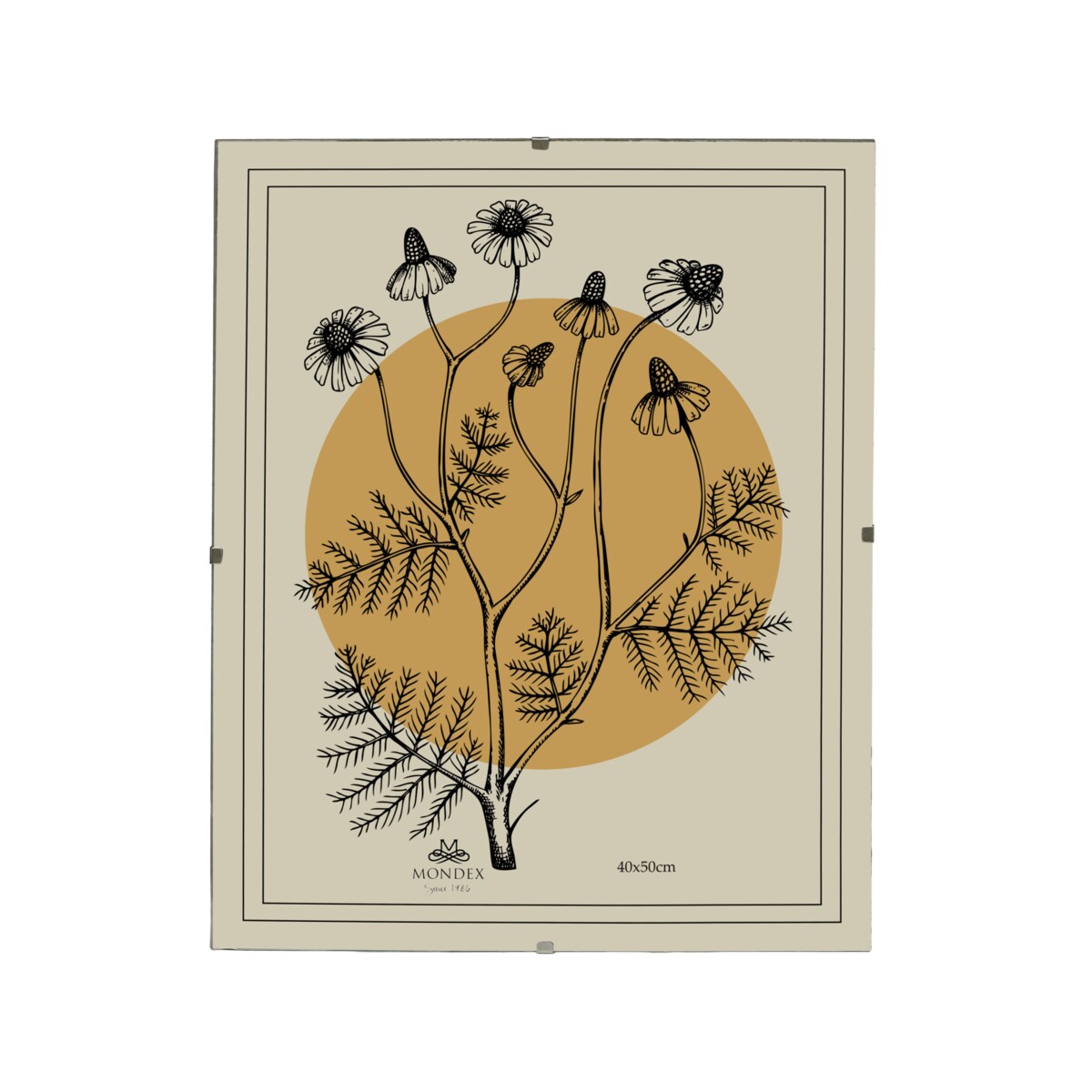 Antyrama ADI 40x50 cm Plexi