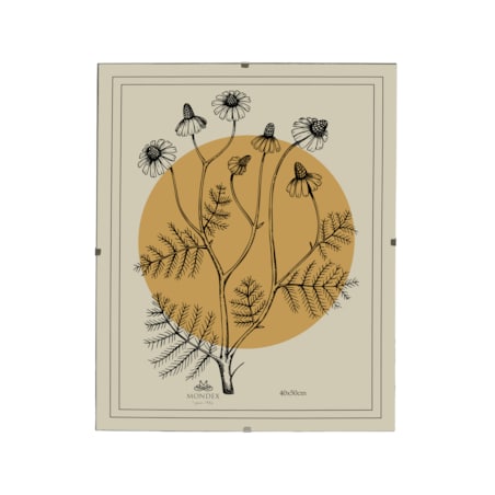 Antyrama ADI 40x50 cm Plexi