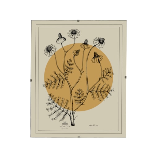 Antyrama ADI 40x50 cm Plexi