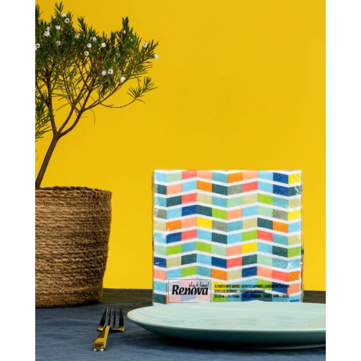 Serwetki papierowe Renova Swimming Pool 20 szt