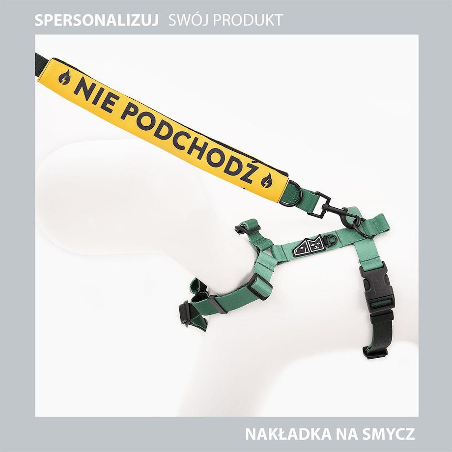 Smycz przepinana dla psa lub kota "Owoc falliczny 2.0" - Szerokość taśmy: 15mm, Rozmiar: M oraz Rodzaj: Mini karabinek
