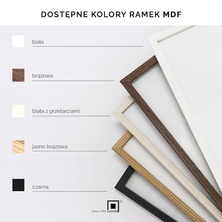 Ramka na zdjęcia 20x30 cm rama MDF biała z przetarciami ramki do zdjęć plakatów 30x20 cm LUCA®