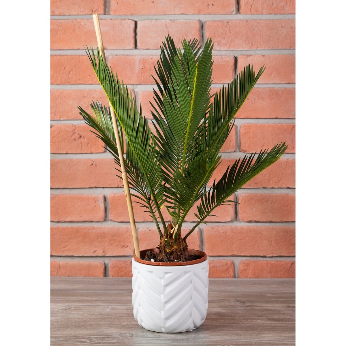 DONICA IVAR ceramiczna biała śr. 14cm