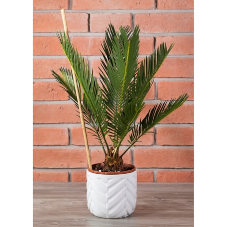 DONICA IVAR ceramiczna biała śr. 14cm