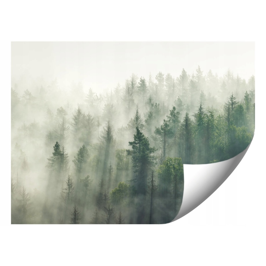 FOTOTAPETA 02-LAS_WE_MGLE DO SYPIALNI SALONU TAPETA ŚCIENNA 200x140