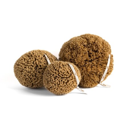 Gąbka naturalna PLASTER MIODU rozmiar S UBO