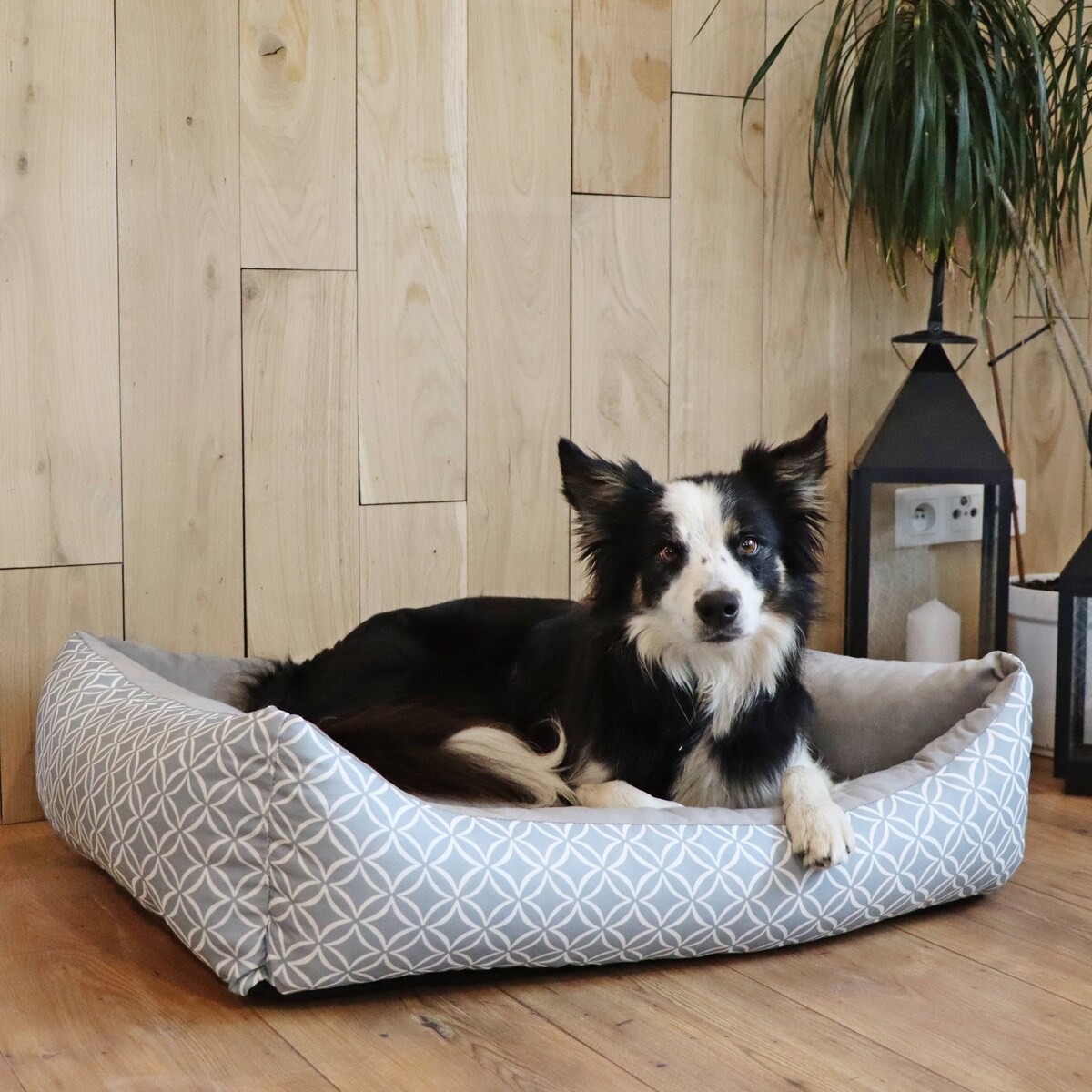 Stylowe legowisko dla kota OTTO, 60x40 cm, Szary