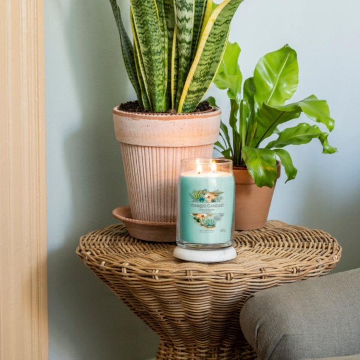 YC SIGNATURE – Świeca duża ALOE & AGAVE
