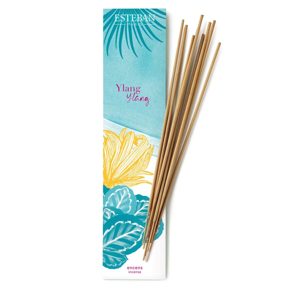 Kadzidełka Ylang-Ylang, Esteban