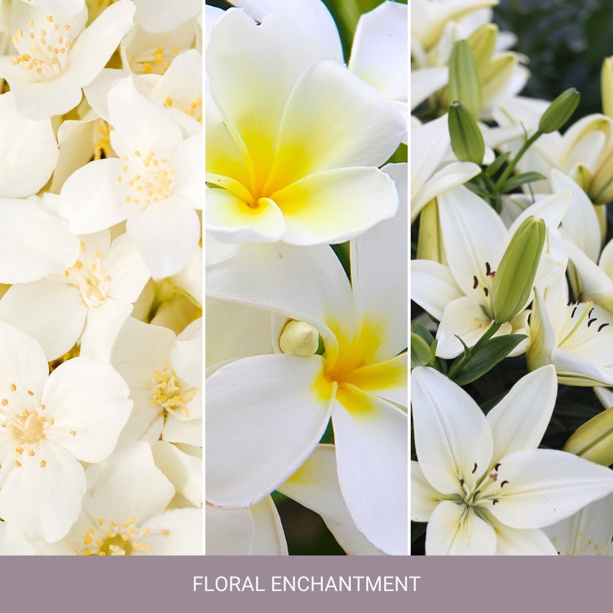 Home Inspiration wosk FLORAL ENCHANTMENT