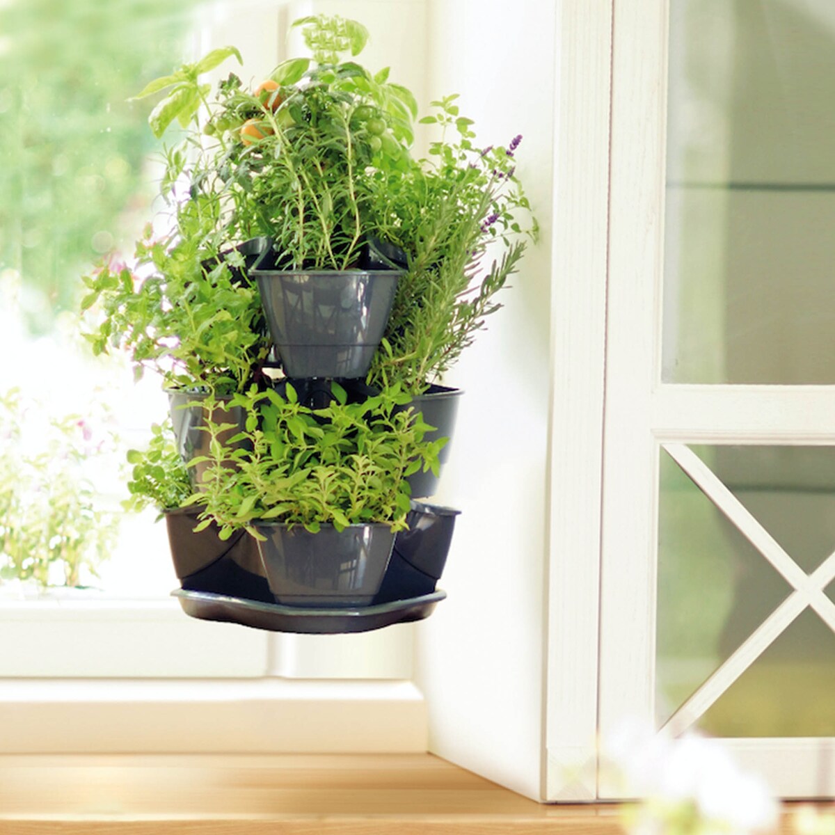 Doniczka Na Zioła Ziołówka Kaskadowa Zielnik