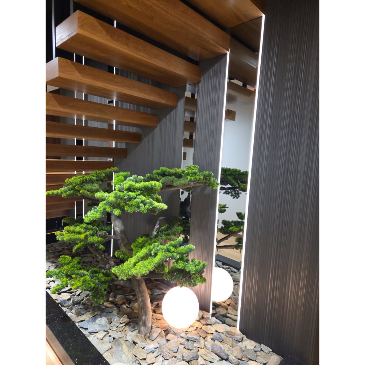 Bonsai na naturalnym pniu 150 cm.