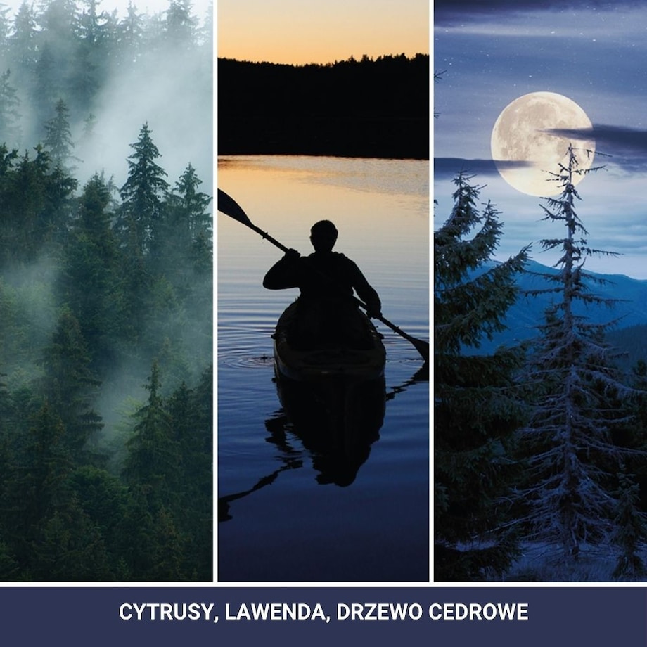 Yankee Candle car jar MIDSUMMER'S NIGHT