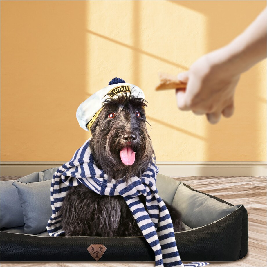 Legowisko Dla Psa Kanapa Posłanie Muszla 115X95 Cm Wodoodporne Poduszki Pikowane Szare