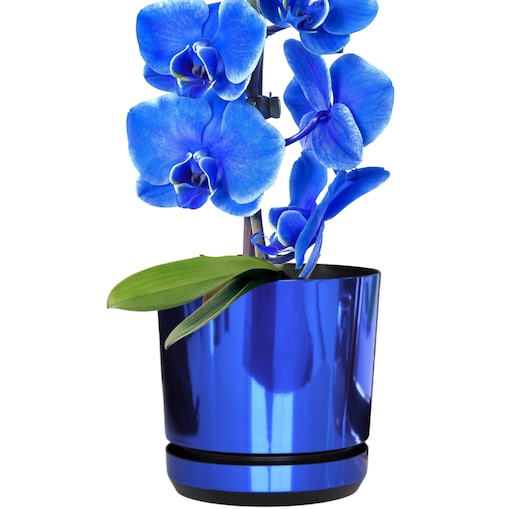 16 cm wzór NIEBIESKI BŁYSZCZĄCY Doniczka z podstawką glamour wysoki połysk do wrzosów lawendy storczyków krokusów orchidei chabrowa kobalt szafirowa błękit paryski królewski